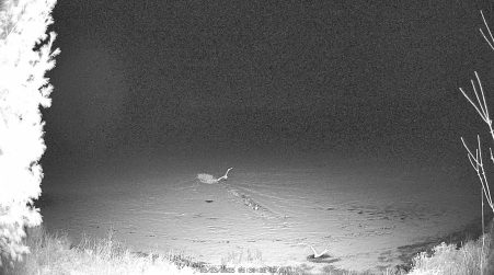 Image from 2025-03-23