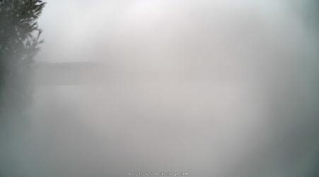 Image from 2025-03-23