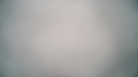 Image from 2025-03-23