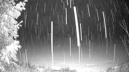Image from 2025-03-23