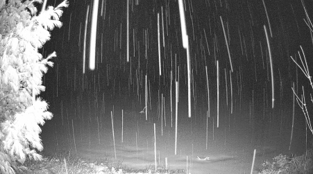 Image from 2025-03-23