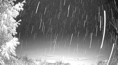 Image from 2025-03-23