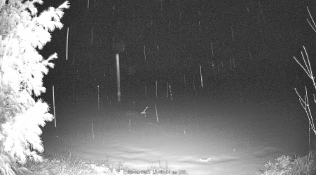 Image from 2025-03-24