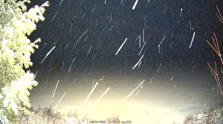 Image from 2025-03-24