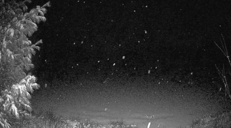 Image from 2025-03-24