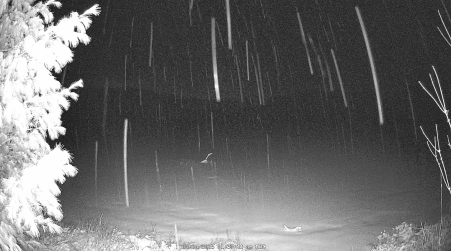 Image from 2025-03-24