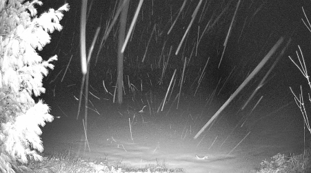Image from 2025-03-24