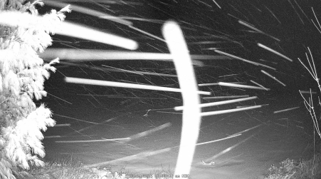 Image from 2025-03-24