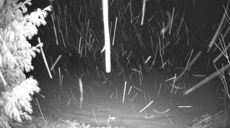 Image from 2025-03-24
