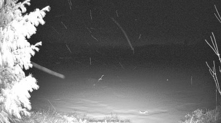 Image from 2025-03-24