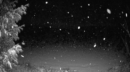 Image from 2025-03-24