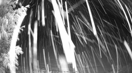 Image from 2025-03-24