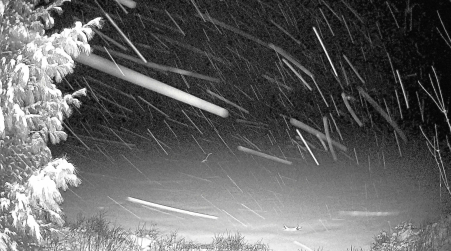 Image from 2025-03-24