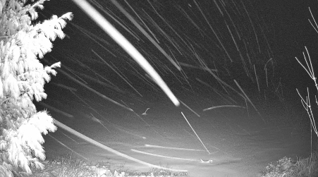 Image from 2025-03-24