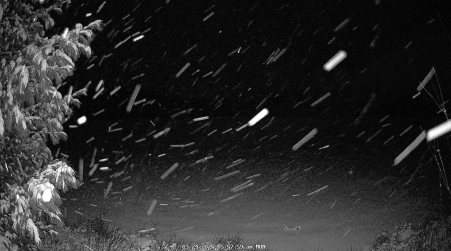 Image from 2025-03-24