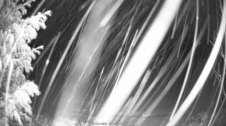 Image from 2025-03-24