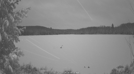 Image from 2025-03-24