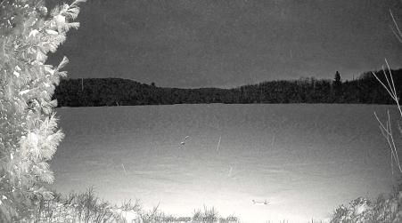 Image from 2025-03-24