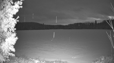 Image from 2025-03-24