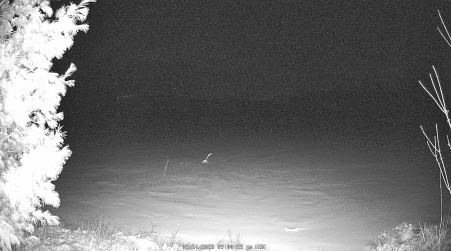 Image from 2025-03-24