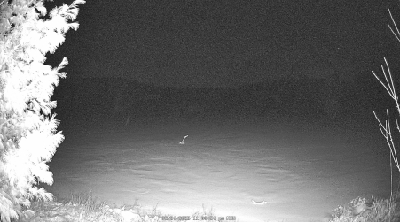 Image from 2025-03-24