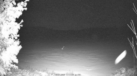 Image from 2025-03-24