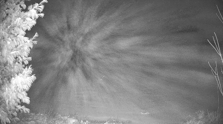 Image from 2025-03-25