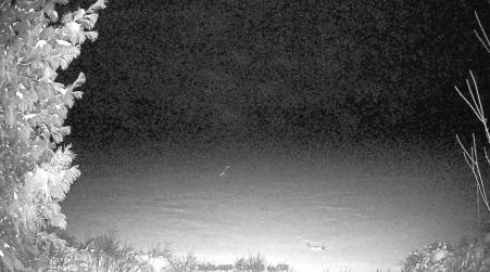 Image from 2025-03-25