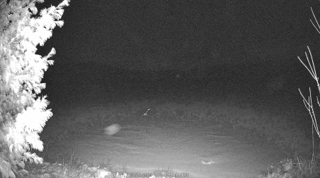 Image from 2025-03-25