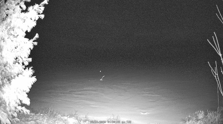 Image from 2025-03-25