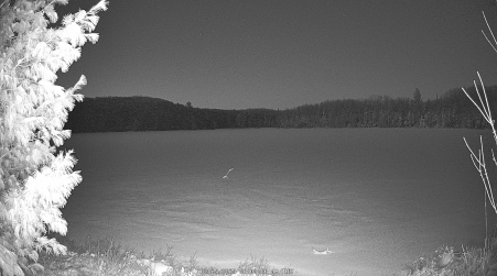 Image from 2025-03-25