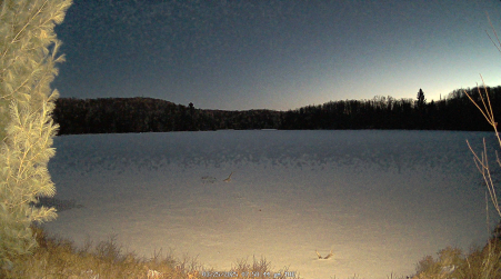 Image from 2025-03-25