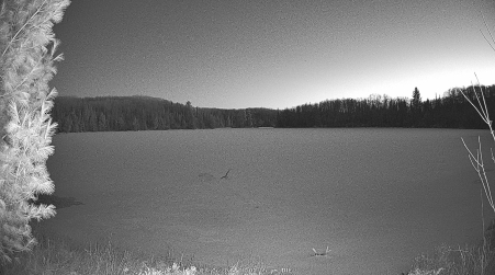 Image from 2025-03-25