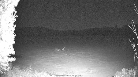 Image from 2025-03-25