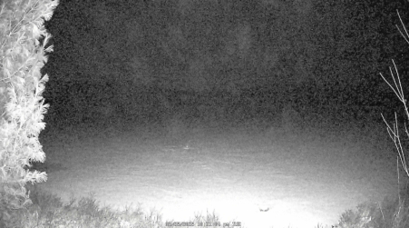 Image from 2025-03-25