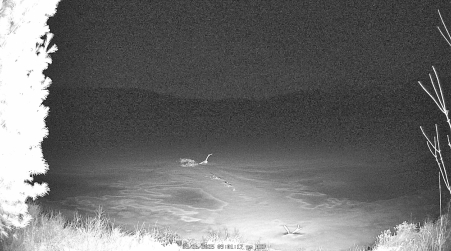 Image from 2025-03-26