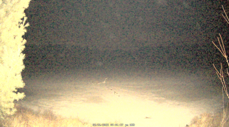 Image from 2025-03-26