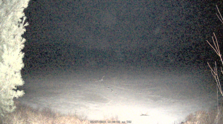 Image from 2025-03-27