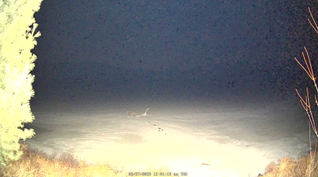 Image from 2025-03-27