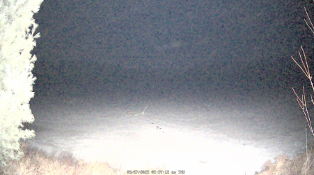 Image from 2025-03-27