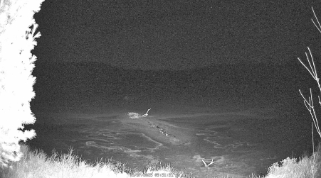 Image from 2025-03-27