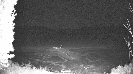 Image from 2025-03-27