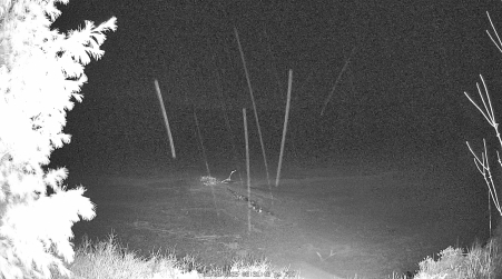 Image from 2025-03-28