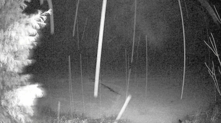 Image from 2025-03-28