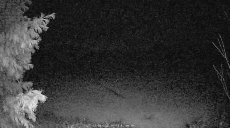 Image from 2025-03-28