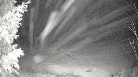 Image from 2025-03-29