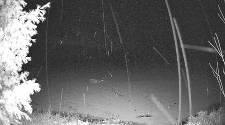Image from 2025-03-29