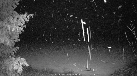 Image from 2025-03-30