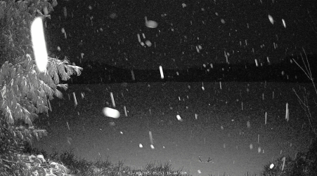 Image from 2025-03-30