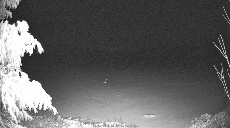 Image from 2025-03-31